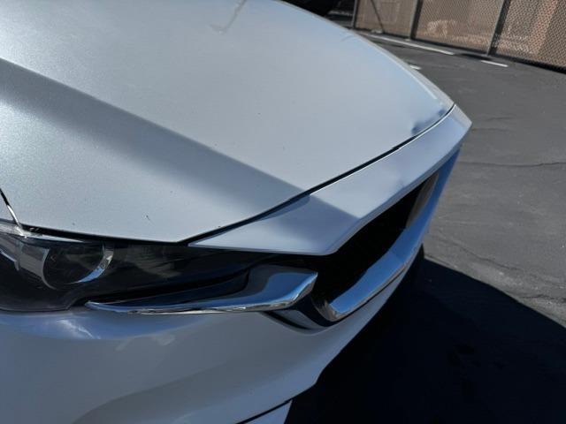 Vehicle Photograph