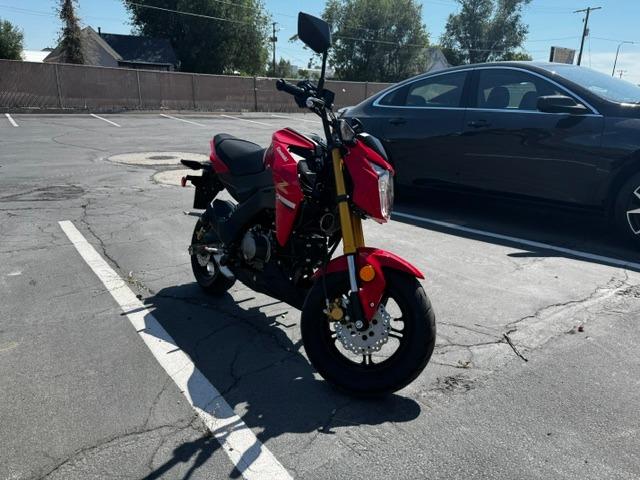 Vehicle Photograph