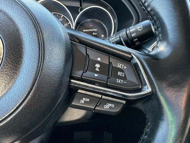 Vehicle Photograph