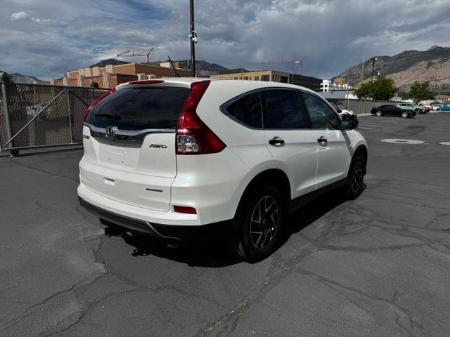 Vehicle Photograph