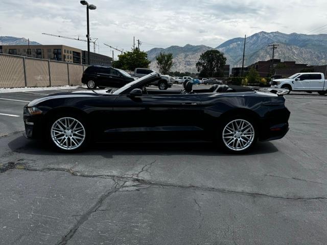 Vehicle Photograph