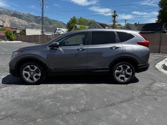 Vehicle Photograph