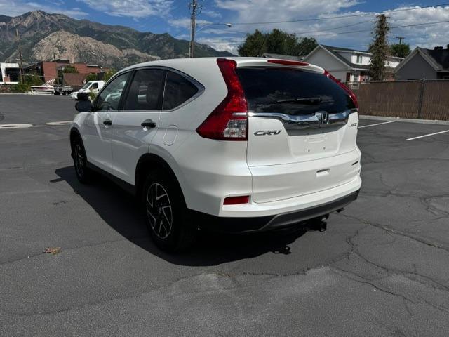 Vehicle Photograph