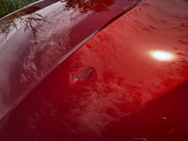 Vehicle Photograph