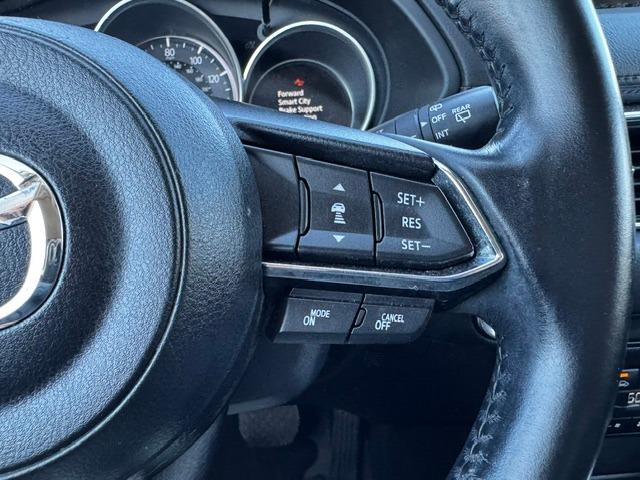 Vehicle Photograph