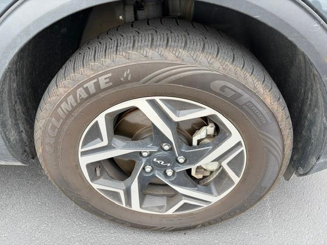 Vehicle Photograph