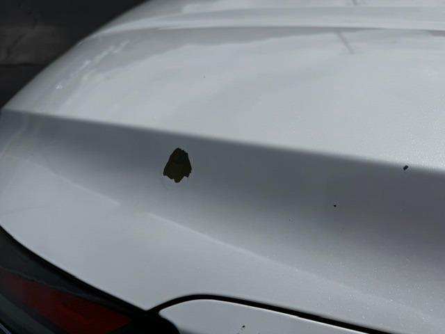 Vehicle Photograph