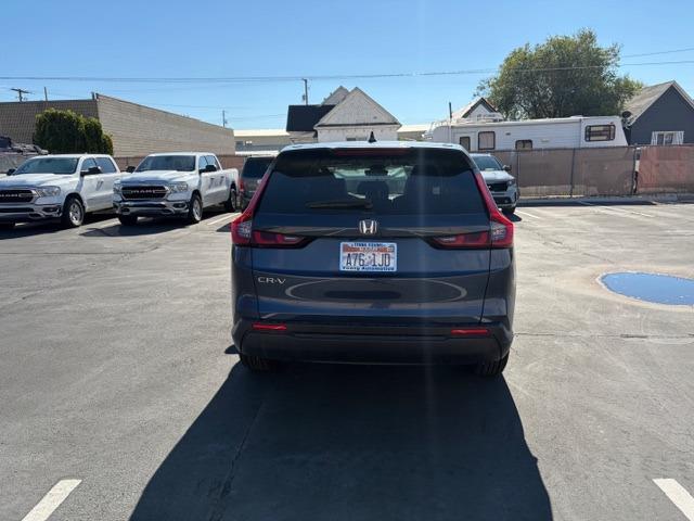 Vehicle Photograph