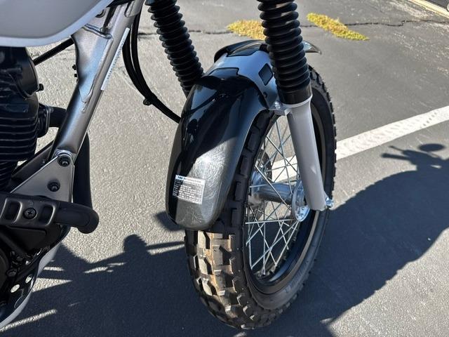Vehicle Photograph
