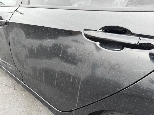 Vehicle Photograph