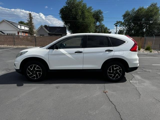 Vehicle Photograph